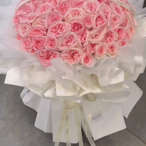 Tình Yêu Của Nắng