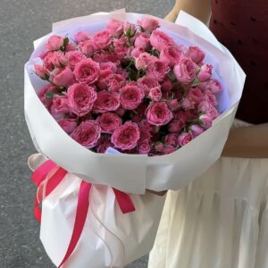 Mê Mẩn Sophia
