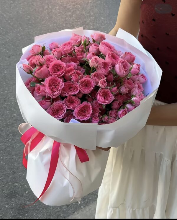 Mê Mẩn Sophia