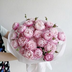 Peony Xinh Đẹp